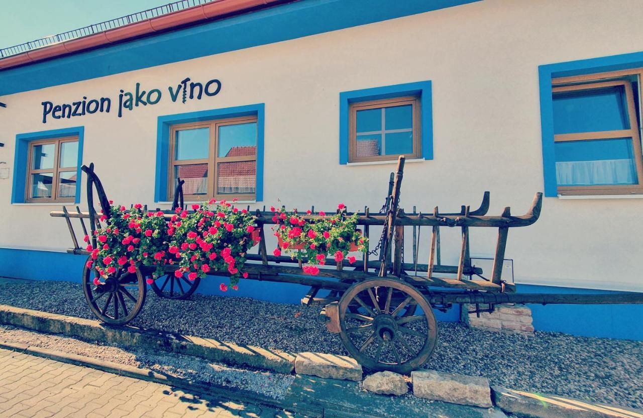 Penzion Jako Vino ブルハリ エクステリア 写真
